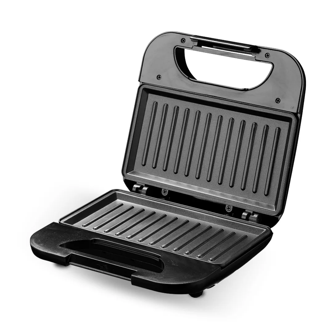 Panini — vue 2