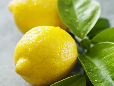 Puissance du Citron