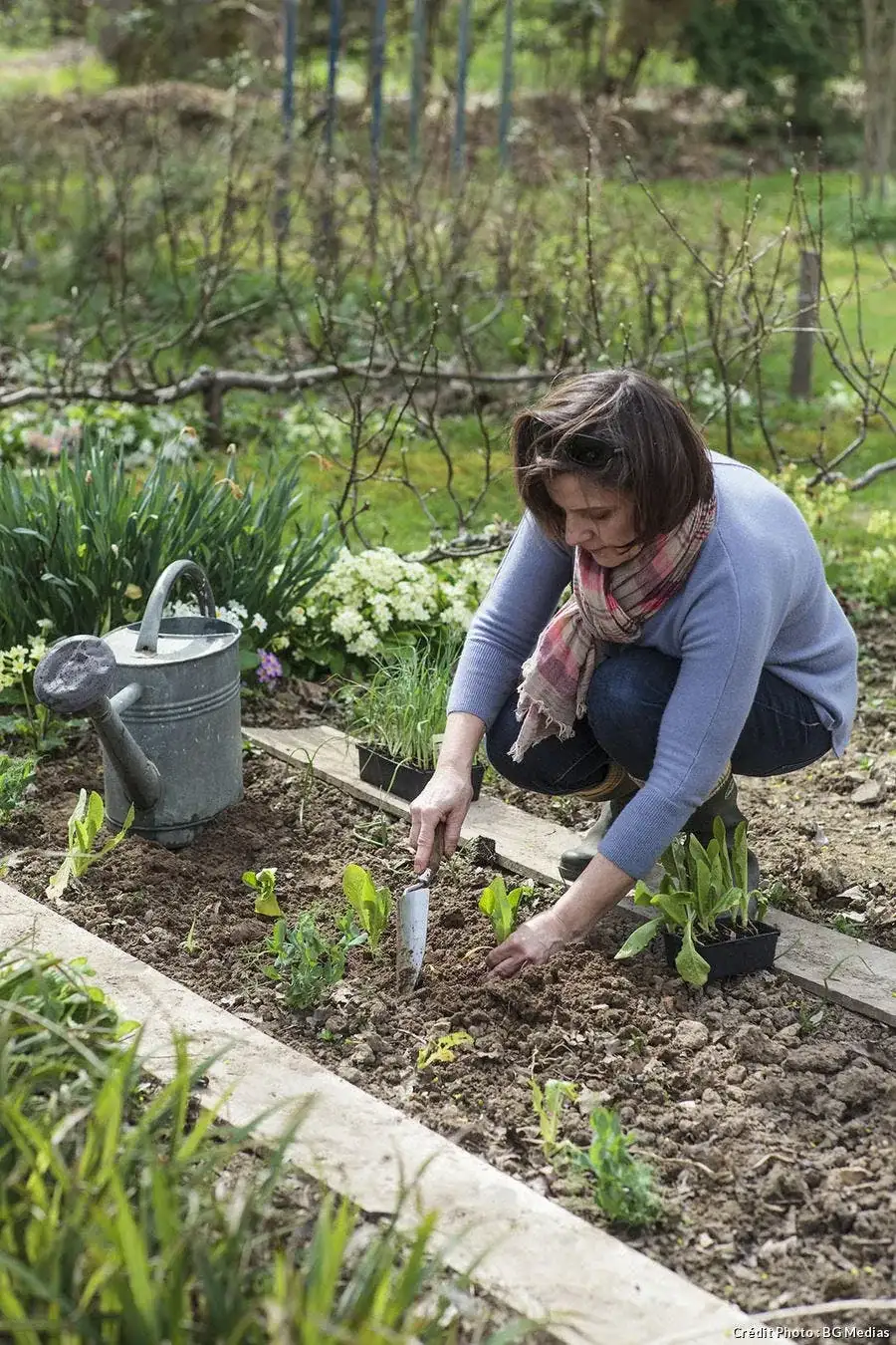 5 astuces de grand-mère pour avoir de beaux légumes