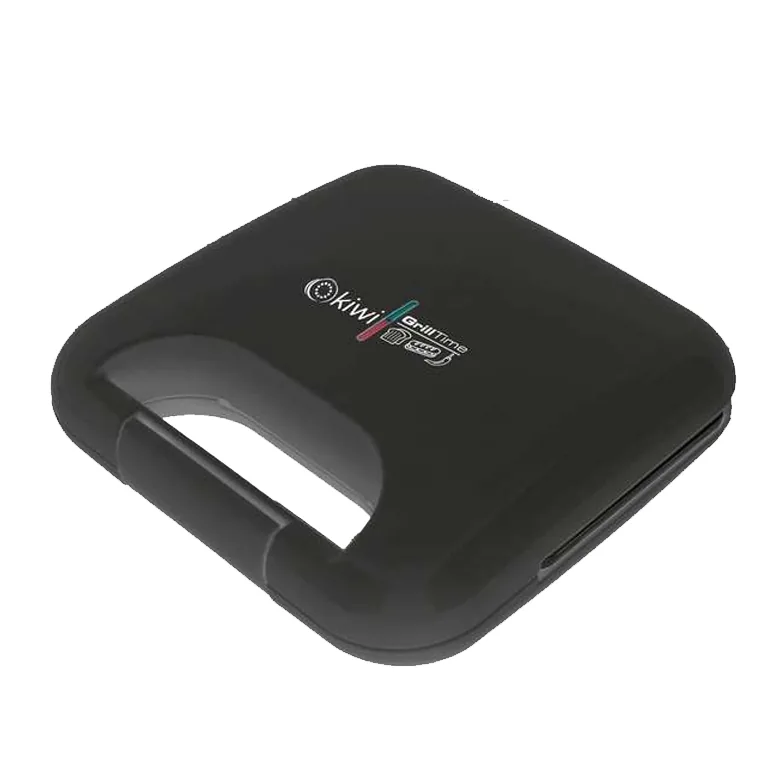 Panini — vue 3